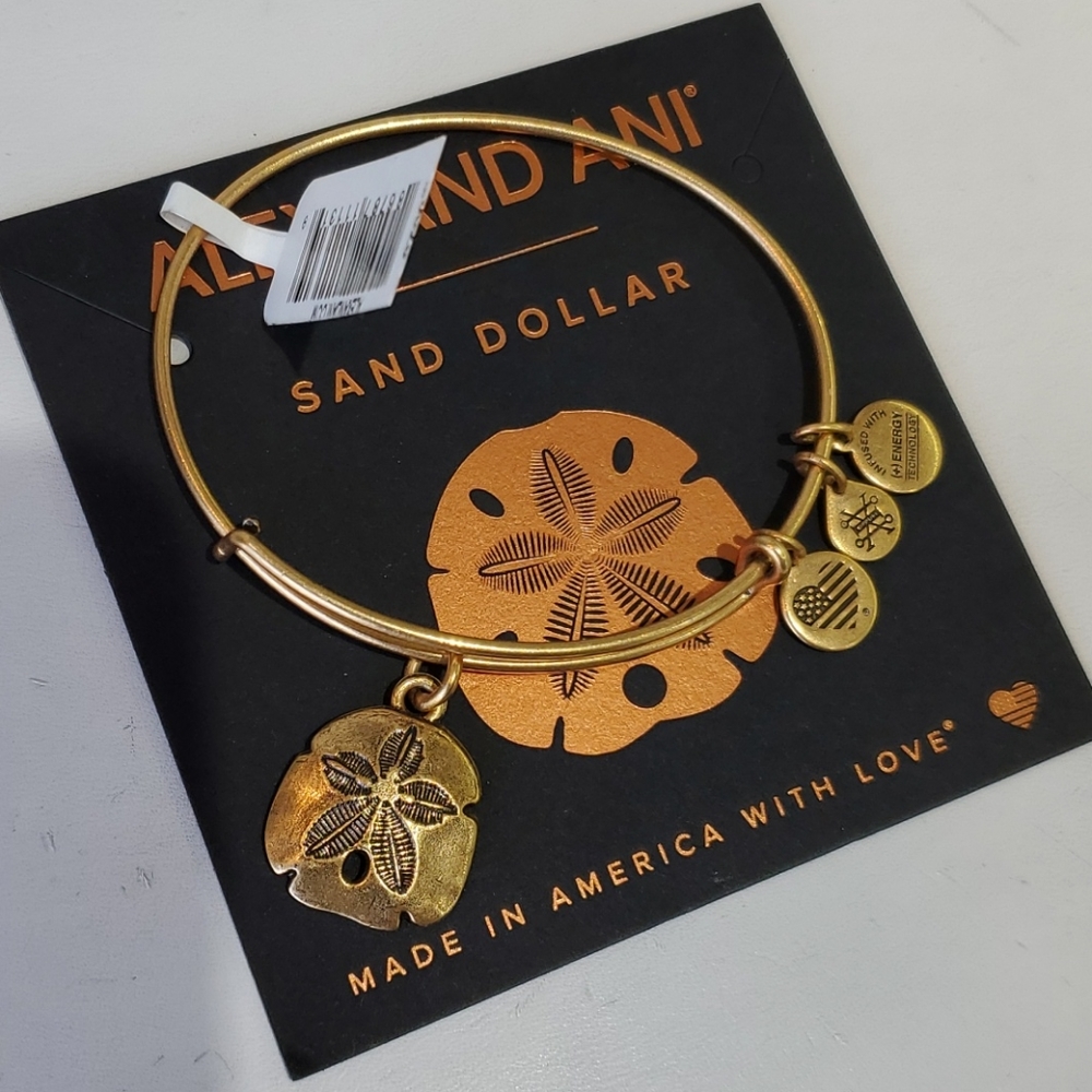 Alex and Ani Sand Dollar ⛱ Goldtone Bracelet